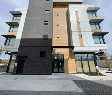 Douglas Green Living Brand New 1 Bed 1 Bath Condo - Photo 6