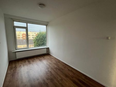 Te huur: Kamer Miltonstraat in Rotterdam - Photo 2