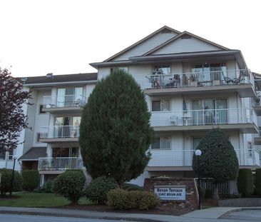 Bevan Terrace – 2BD/1.5BA - Photo 4