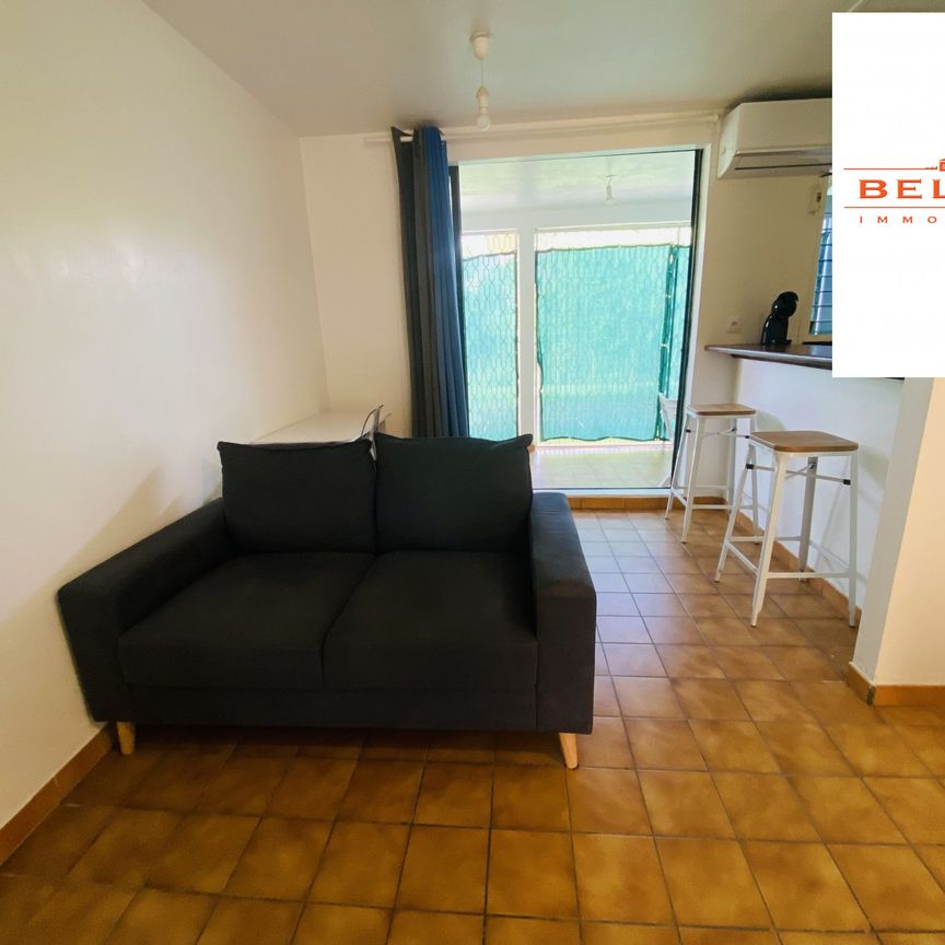 Location Appartement 1 pièce 24m² SCHOELCHER 97233 - Photo 1