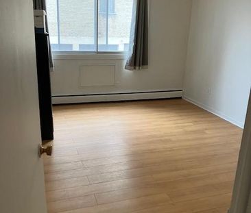 Alouer 3 1/2 Anjou - Photo 2