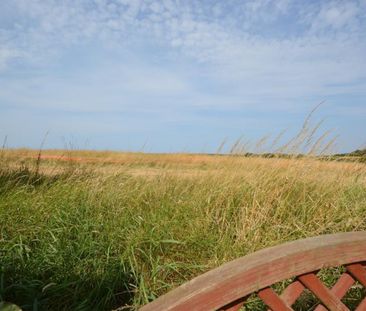 1 bedroom House To Let - Photo 5