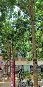 Appartement à louer 2 pièces 38.24m² - Photo 4