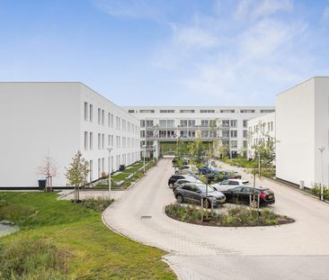 Marie Vierdagstraat 204 - Photo 4