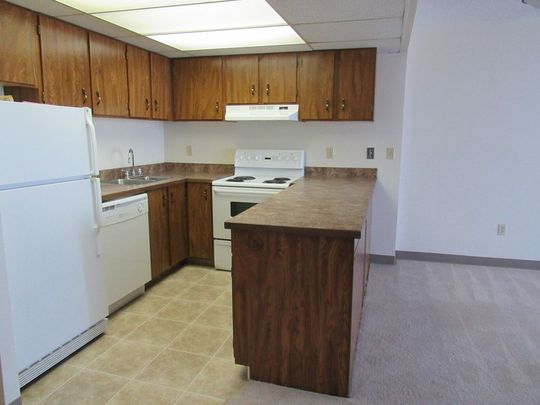 805, 4902 - 37 Street - Photo 1