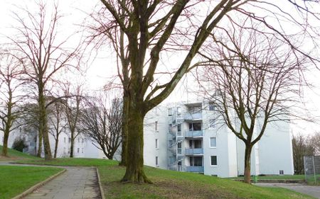 Gemütliche 2-Zi.-Whg. mit neuem Boden in Vohwinkel - Photo 4