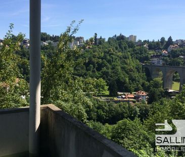 STUDIO AVEC BELLE VUE SUR LA SARINE - Photo 2