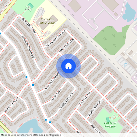 204 Van Scott (Basement) Drive, Brampton