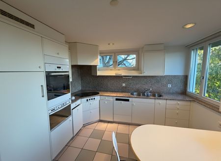 Grosszügiges 8.5-Zimmer Einfamilienhaus in Forch - Foto 3