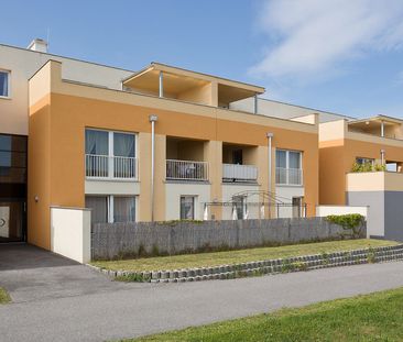 WIENER NEUSTADT VIII/2 - Foto 6