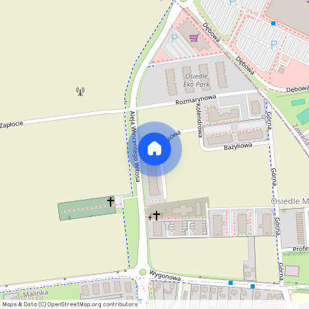 ul. Szałwiowa, Gosławice, Opole, opolskie