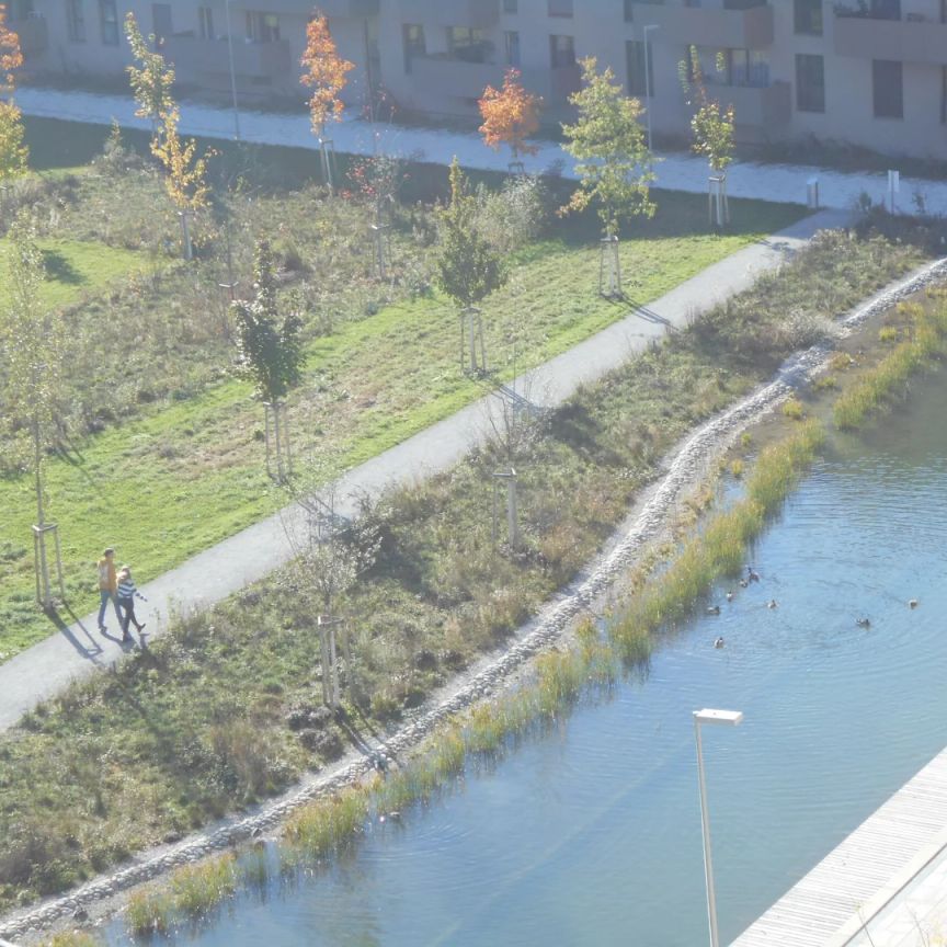 Q5 am PARK sonnige 2ZI West/Balkon - Photo 1