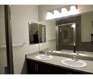 3 Bed 2.5 Bath Dbl Garage Home For Rent Edgemont - Photo 3