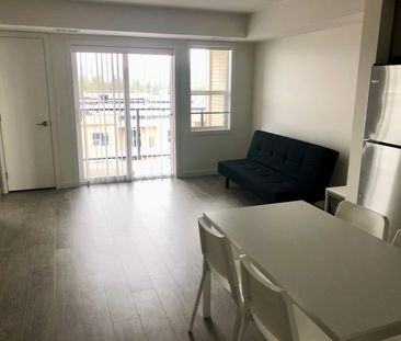 Furnished 2 bed/2 bath FREE Parking (PH21) - Photo 4