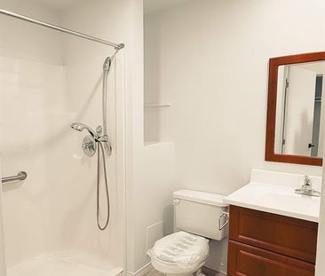 1 CH - 1 SDB - Montréal - $1,195 /mo - Photo 3