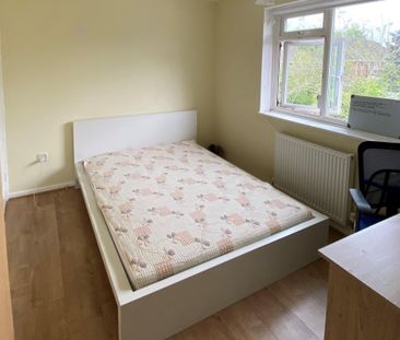 Ruskin Road, NORWICH - Photo 5