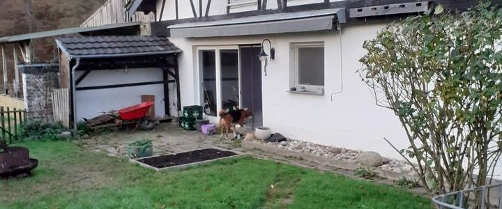 Wohnung 5 Zimmer / Garten auf dem Land Overath /Immekeppel-Nähe - Foto 1