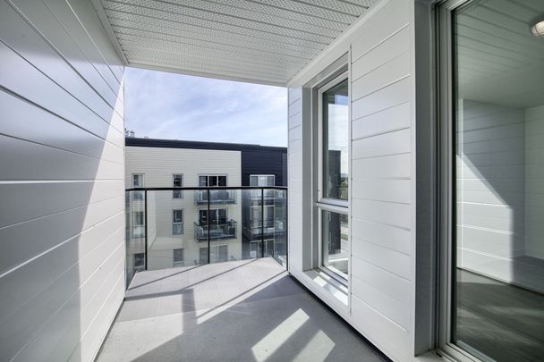 9675 Av. Papineau - Photo 1