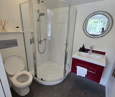 Fully Furnished Studio Cottage - Photo 6