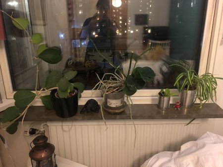 Skäpplandsgatan, Göteborg - Photo 2