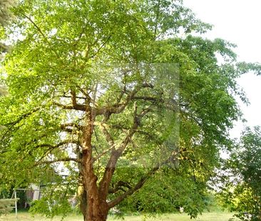 Hübsches Wohnen in Crossen - Photo 4