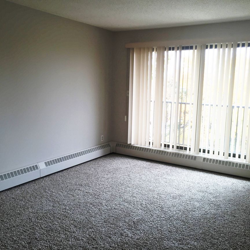 NO STAIRS!! Spacious Well Maintained Building 2 Bed, 1 Bath - Photo 1