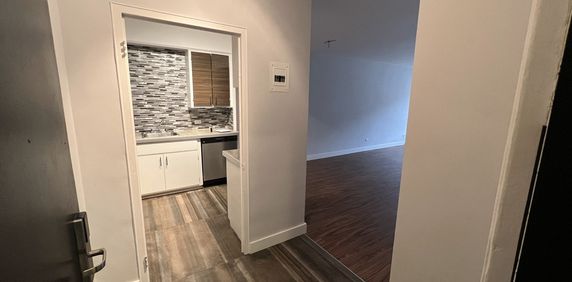 Grand 3 1/2 Au Centre-Ville - 1m GRATUIT - Photo 2