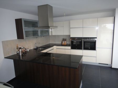 For rent superb penthouse of 4.5 pcs with large terrace from May 1st - Foto 3