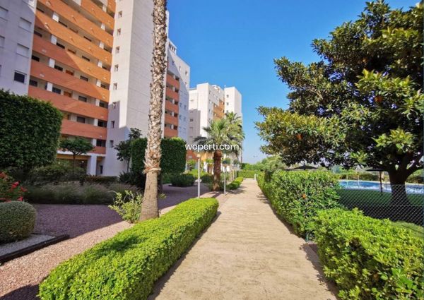 Apartment in Guardamar del Segura, PUERTO, for rent