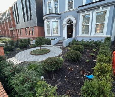 Apt 2, 60 Wellington Park, Belfast, BT9 6DP - Photo 4