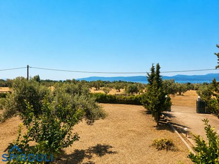 Διαμέρισμα για ενοικίαση Κέντρο (Ερέτρια) - Photo 5