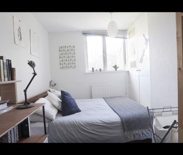 Room in a Shared Flat, Wedgwood House, E2 - Photo 5