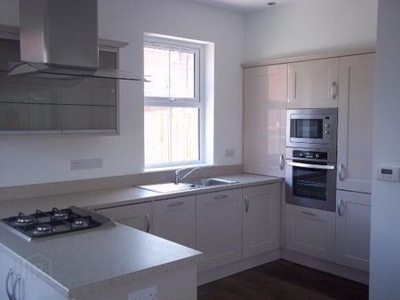 3 Readers Close, Ballyclare, BT39 9FW - Photo 5