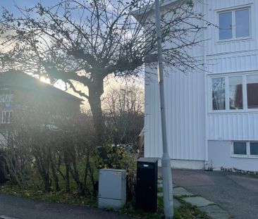 Aspgatan, Västra Frölunda - Photo 6