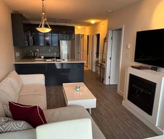 1 Bedroom and Den at Coal Harbour - Photo 1