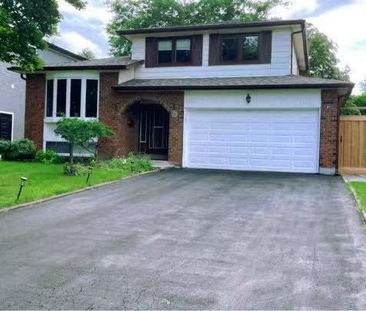 For Lease - 49 Summerfeldt Crescent Unit# Bsmt, Markham, Ontario - Photo 4