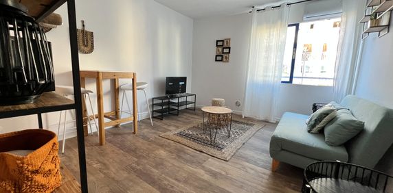 Location Appartement 1 pièce 23m² STE CLOTILDE 97490 - Photo 2