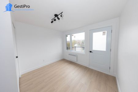 2995 St-Léandre - Photo 4