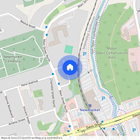 85 Franklin Street Unit# Lower, Newmarket