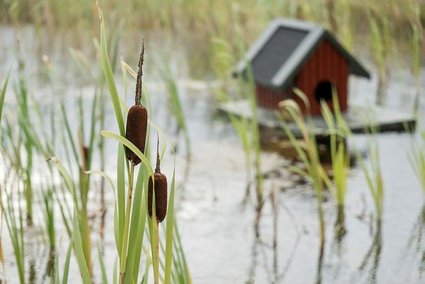 Rønnebærvænget, Skovby 799-0 - Foto 1