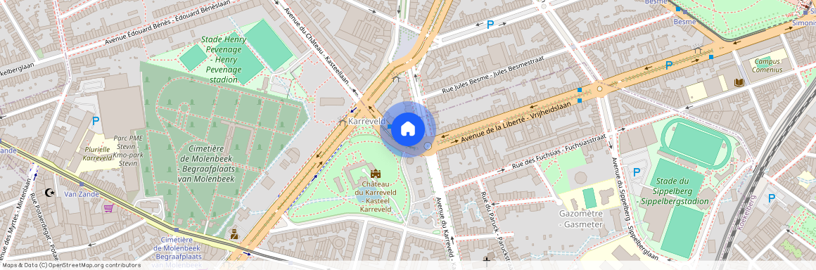 Avenue de la Liberté 154, 1080, Molenbeek-Saint-Jean