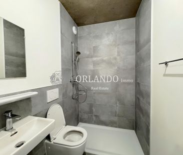 Beautiful new 5-room apartment - Carouge area - Photo 3