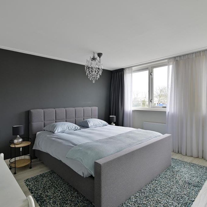 Huis te huur: Breeuwer 104 1625 AG Hoorn (NH) - Foto 1