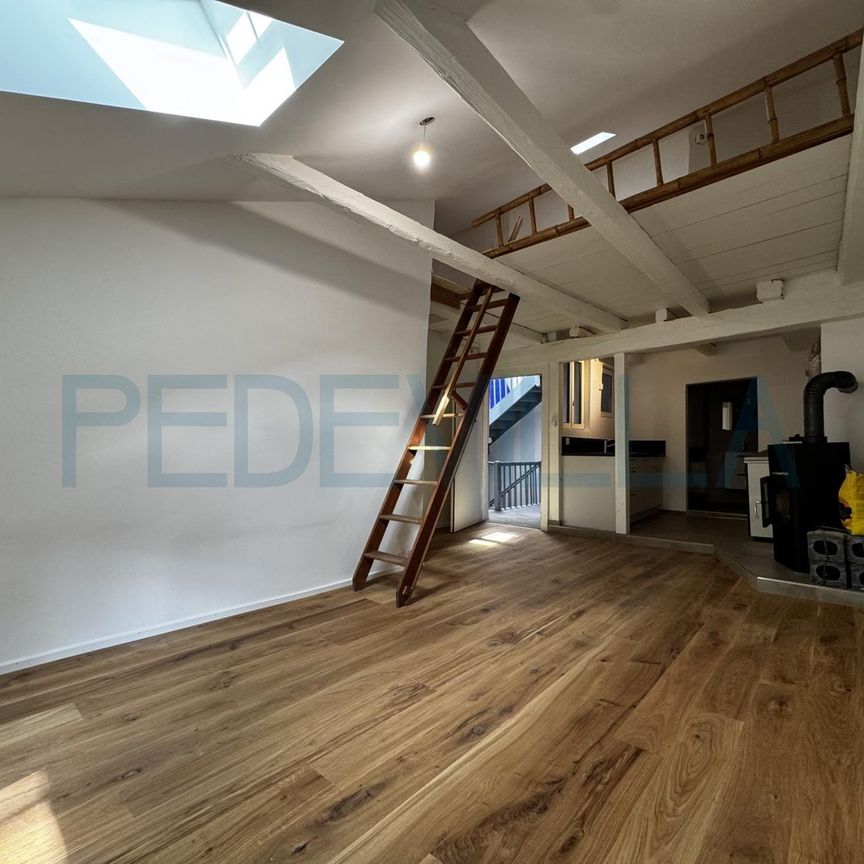 À louer ? Joli 1,5 pièce rénové avec mezzanine ? Un logement plein de charme - Photo 1