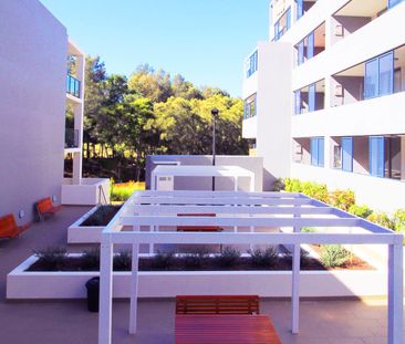 Comfortably Spacious Apartment Close To Everything You Could Possibly Imagine - Photo 5