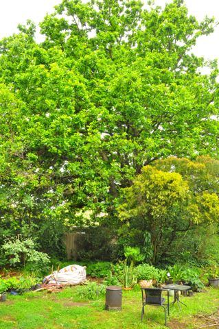 Templestowe - Photo 2