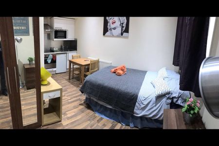 Studio Flat, Willesden Green, NW6 - Photo 4