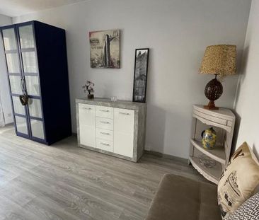 Location Appartement 1 pièce 24m² RIEDISHEIM 68400 - Photo 1