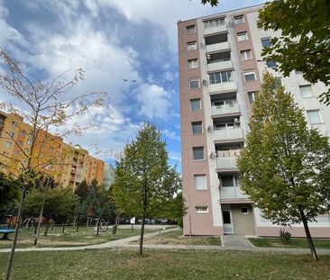 Jednoizbový byt po kompletnej rekošntrukcii sídlisko A. Trajan – Fotografia 4