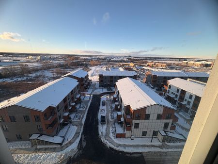 For Lease - 20 All Nations Drive Unit# 827, Brampton, Ontario - Photo 4